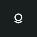 Palantir Technologies Inc. Class A Common Stock
