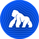 ApeCoin