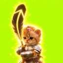 cat wif hood