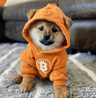 Dog (Bitcoin) logo