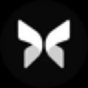 Morpho Midnight