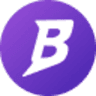 Nest Basis Vault logo