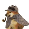 pipedog logo