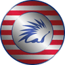 Spiko Amundi Overnight Swap Fund logo