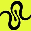 Squid
