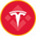 Tesla (bStocks Tokenized Stock)